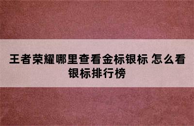 王者荣耀哪里查看金标银标 怎么看银标排行榜